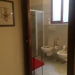 Cittadella